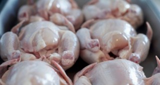 Средните цени на пилешкото месо в страната остават без съществена промяна