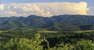 От 2008 г. сдружение Асоциация на парковете в България е завело 14 дела срещу МОСВ