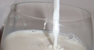 Мляко с миша отрова едва не прати в болница 130 деца от Асеновград