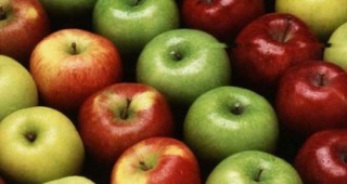 Увеличение в износа на ябълки от Сърбия за Русия
