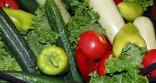 Външнотърговско дружество ще подпомага износа на български зеленчуци
