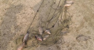 Иззети са над 2 км риболовни мрежи от инспектори на ИАРА