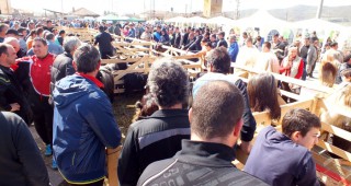 Днес в Кресна организират пролетен празник на земеделието и животновъдството