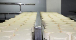 Млекопреработватели: Не трябва да има таван на отпусканите средства в сектора