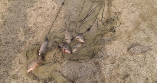 Иззети са 830 метра незаконни рибарски мрежи от инспектори на ИАРА