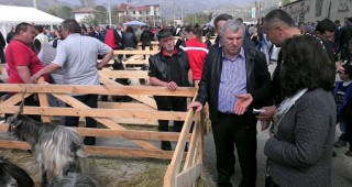 Министър Греков приветства участниците на Третия пролетен празник на животновъдството и земеделието в Кресна