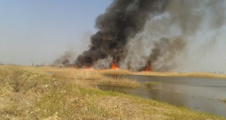 Тръстиков масив изгоря в защитена местност Пода край Бургас