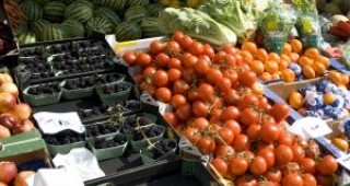Производители на зеленчуци са недоволни от евтин внос