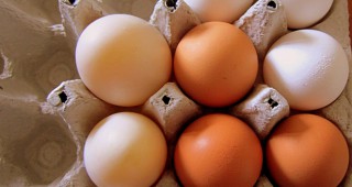 Евтините полски яйца този Великден няма да залеят пазара ни