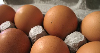 Без съществена промяна остават цените на яйцата