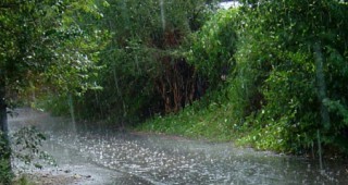 Жълт код за обилни валежи е обявен в 16 области от Западна и Централна България