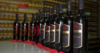 Град Варна ще се превърне в столица на виното