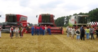 По 340 кг. пшеница от декар прибраха стопаните в Русенско