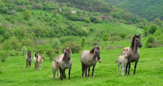 НТЗ ще представи успешния пример на Източните Родопи за устойчиво развитие