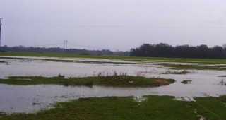Пороен дъжд наводни земеделски земи и ливади в Ловешка област
