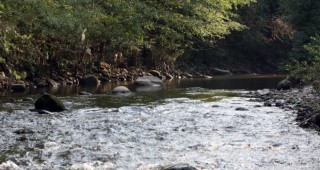 РИОСВ-Пазарджик проверява дали са отровени водите на река Луда Яна