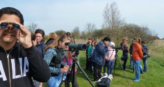 В образователните дейности на проекта за опазване на червеногушата гъска взеха участие 180 ученици