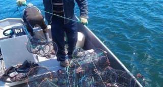 400 метра бракониерски мрежи за улов на калкан са иззели инспектори на ИАРА Добрич