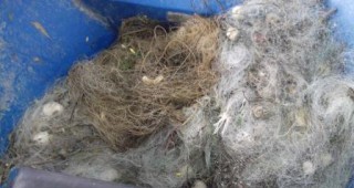 925 метра бракониерски мрежи са иззети от инспектори на ИАРА Велико Търново, Търговище и Силистра