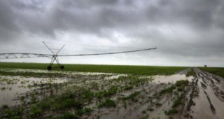 Наводненията на Балканите са нанесли значителни поражения на селското стопанство
