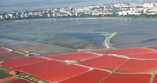 Розова сол от Бургас пускат на пазара