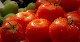 Правилата за внос на плодове и зеленчуци в ЕС ще се променят