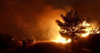 Извънредно положение в Атика заради мащабни горски пожари