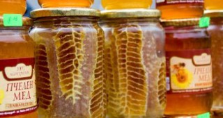 От 30-ти юни стартира прием на заявления по пчеларската програма
