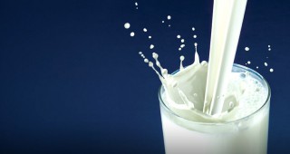За изминалата година у нас са преработени 530 млн. литра мляко