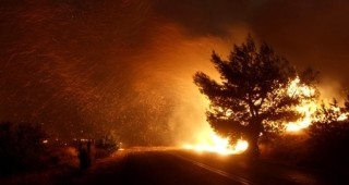 Мащабен план за обезщетение на пострадалите от пожарите в Гърция