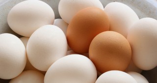 Пазарът на яйца остава спокоен- без сериозни промени в цените