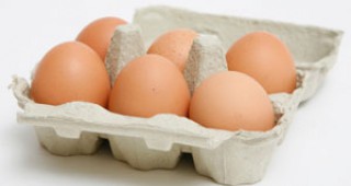 Цените на яйцата са се повишили през месец септември