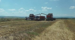 Продължава жътвата на ечемик и пшеница във Великотърновско