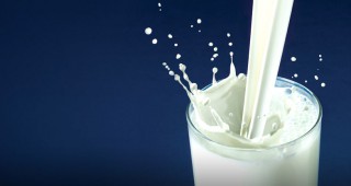 ОДБХ Пловдив извършва проверки на млекосъбирателните пунктове в областта