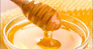 Фестивал на меда ще се проведе във Варна