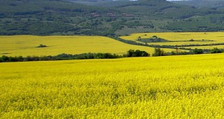 Намалява търсенето на биогорива в ЕС