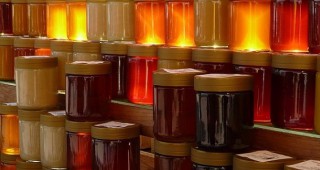 Фестивал на мановия мед ще се проведе в Царево