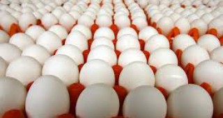 Цената на яйца размер L се повиши в 11 области
