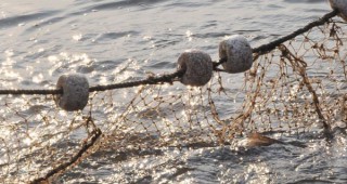 1000 метра бракониерски мрежи са иззети от водоеми при проверки на инспектори на ИАРА Шумен и Добрич