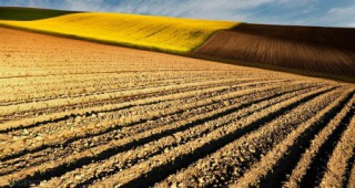 Косад Семанс България, БАСФ и Булагро машини организират Форум за добра земеделска практика при отглеждането на пролетници