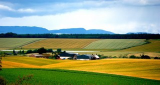 Фермери от Франция и Германия намериха общи позиции за европейската политика в областта на земеделието