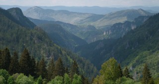 Природозащитници, обществени организации и граждани, са единомишленици в борбата за опазване на българската гора