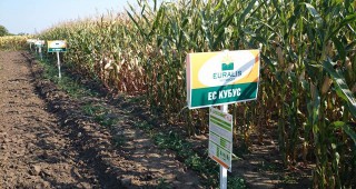 Еуралис семена България представи иновативни технологии при отглеждане на царевица и сорго