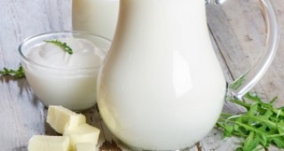 Започват проверки за качеството на млечните продукти по училищните схеми