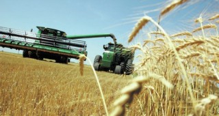 Великотърновските зърнопроизводители отчитат добри добиви от жътвата на есенниците