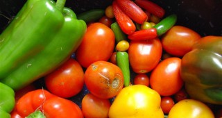 ЕК предприема извънредни мерки за пазарна подкрепа в сектора на плодовете и зеленчуците
