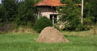 Над 10% от селата в България имат едноцифрен брой жители или са необитаеми