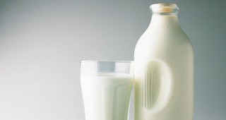 ЕК отпуска средства за млечния сектор