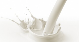 Национална конференция на млекопреработвателите ще се проведе в началото на ноември