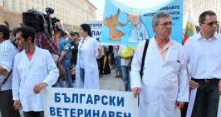 Национален протест на ветеринарните лекари